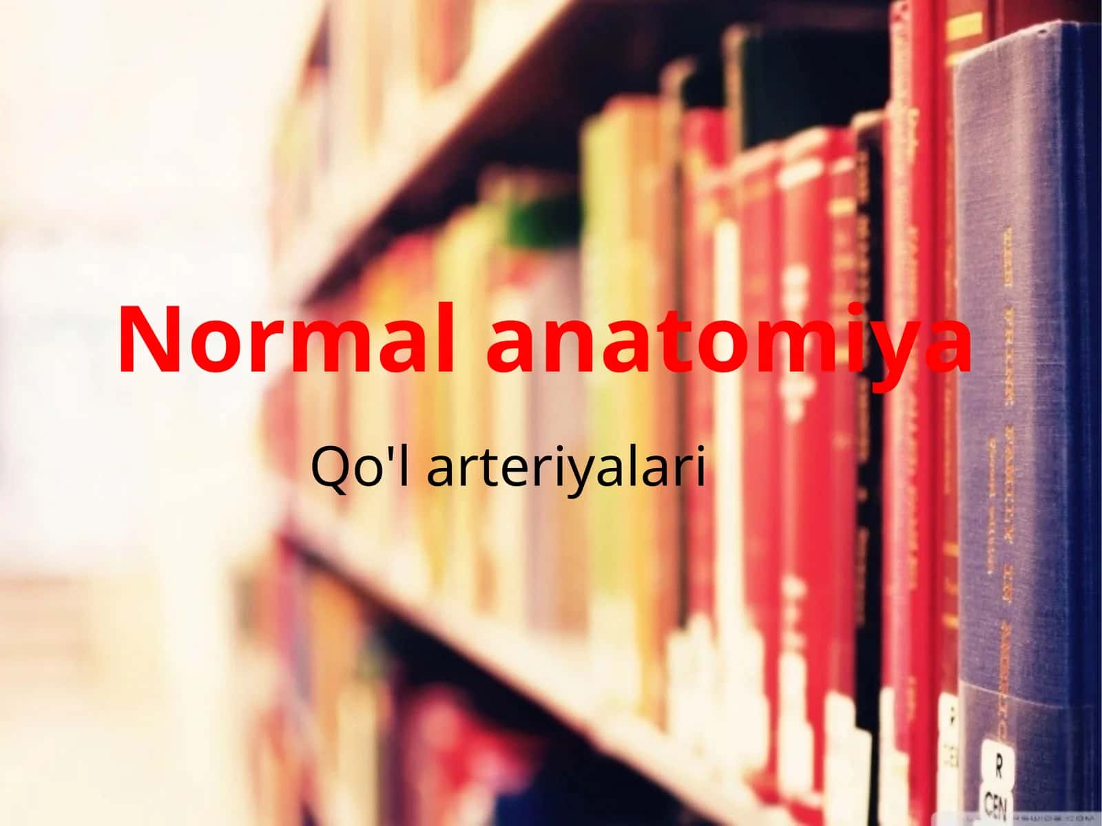qoʻl arteriyalari normal anatomiyasi 1