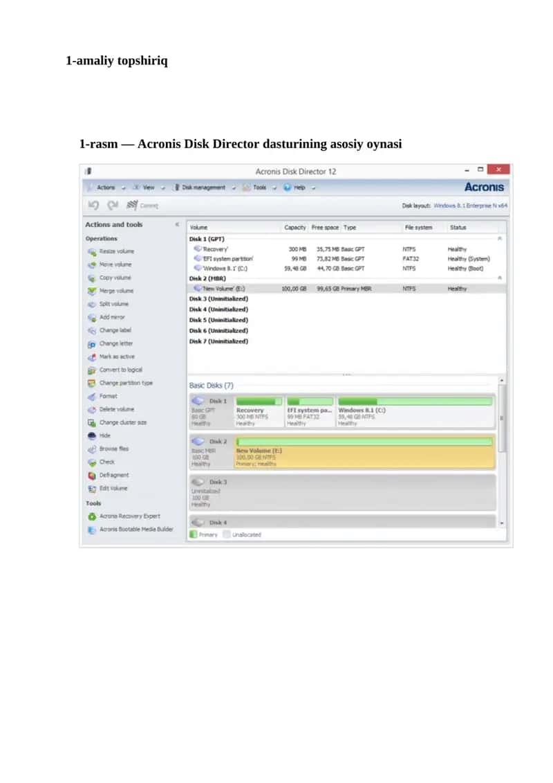 Acronis Disk Director 1