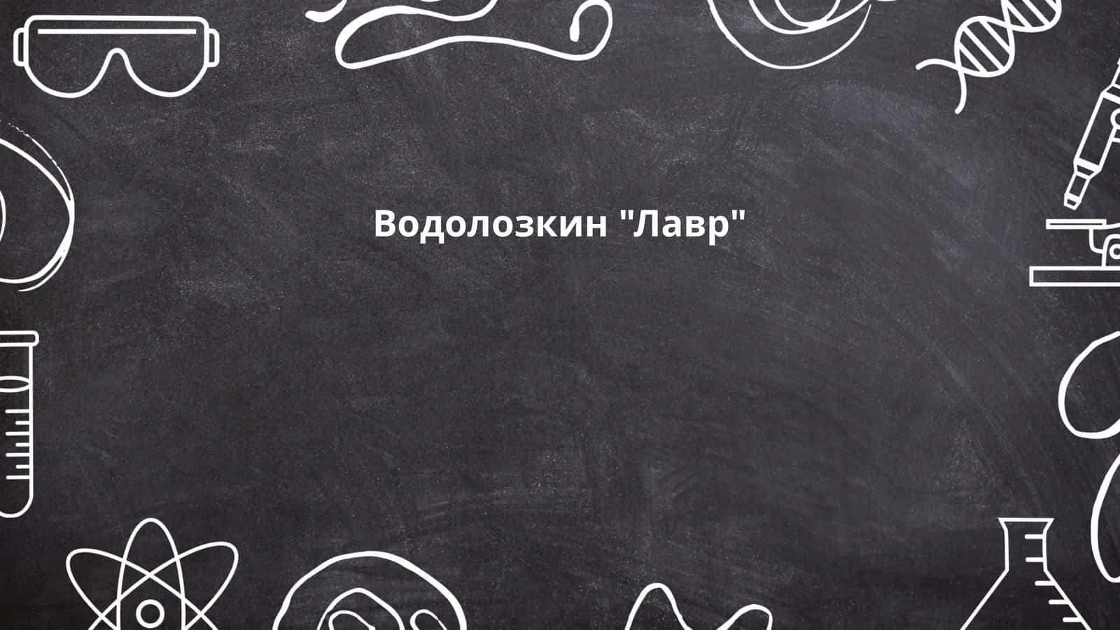 Водолозкин "Лавр" 1