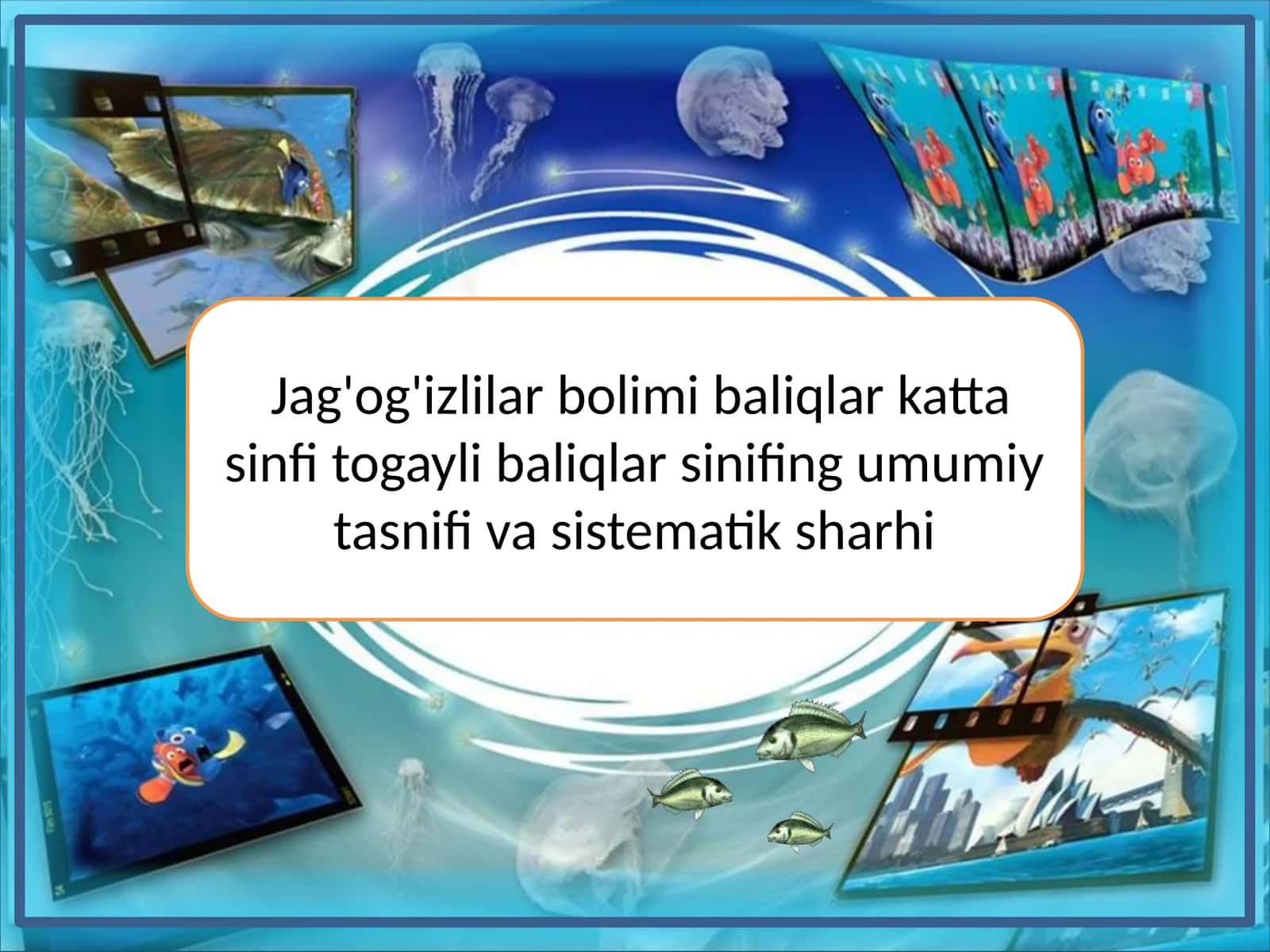 Jag'og'izlilar bolimi baliqlar katta sinfi togayli baliqlar sinifing umumiy tasnifi va sistematik sharhi 1