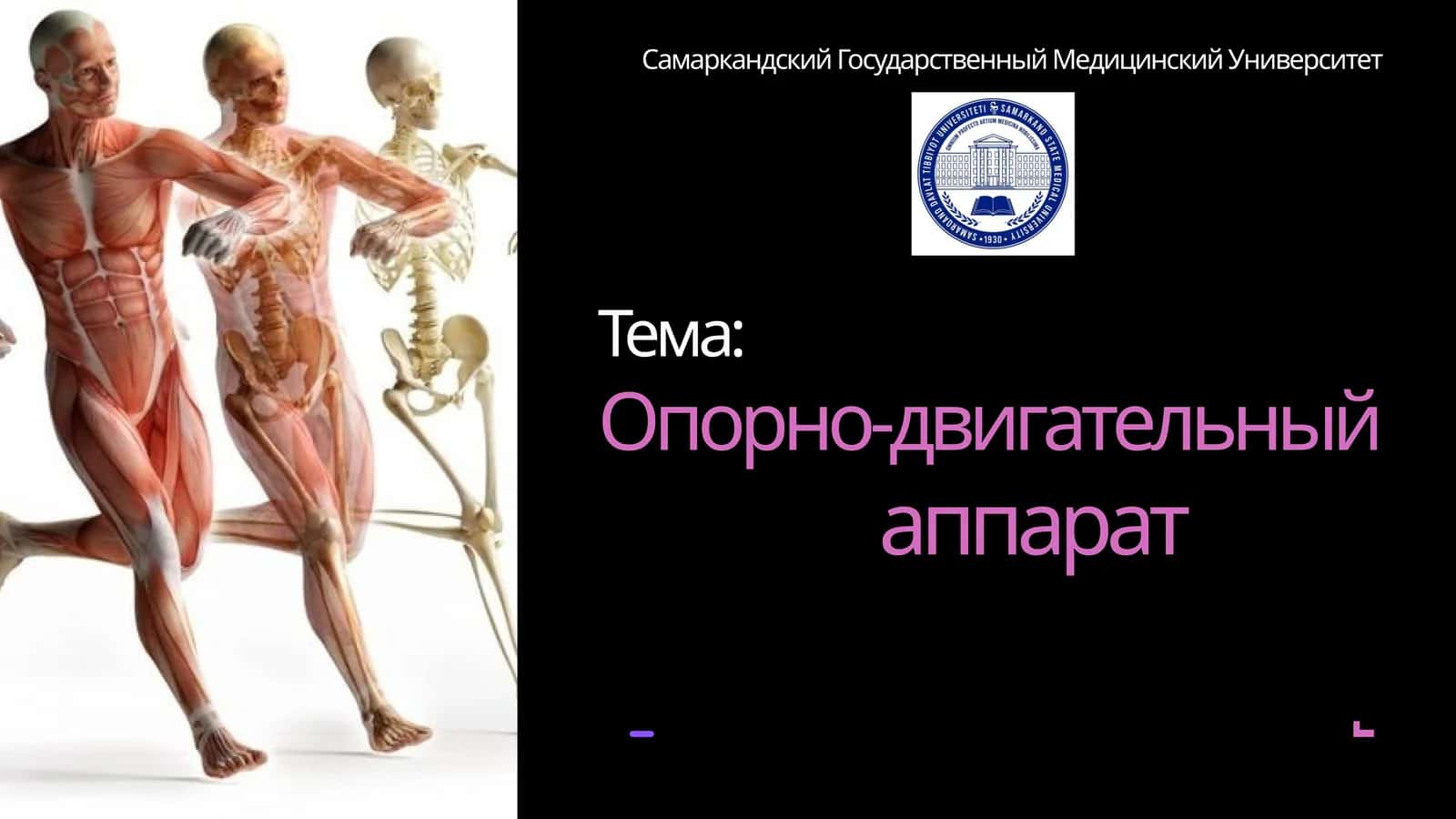 Опорно-двигательный аппарат 1