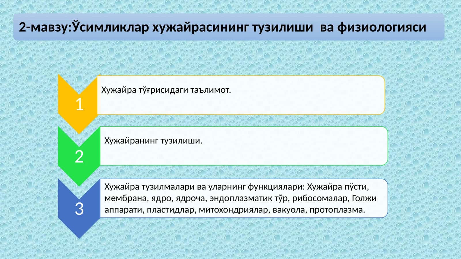 Хужайра назарияси 1