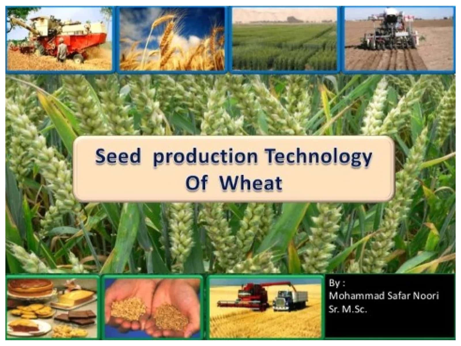 Wheat Targets - 2030 AD 1
