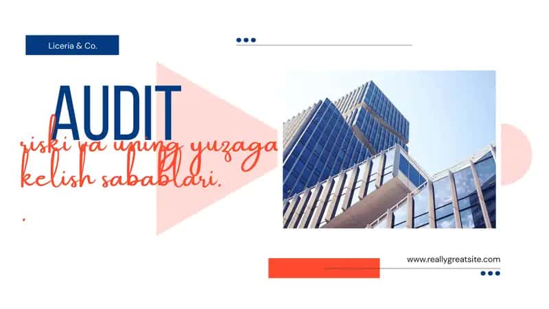 Audit riski va uning yuzaga kelish sabablari 1