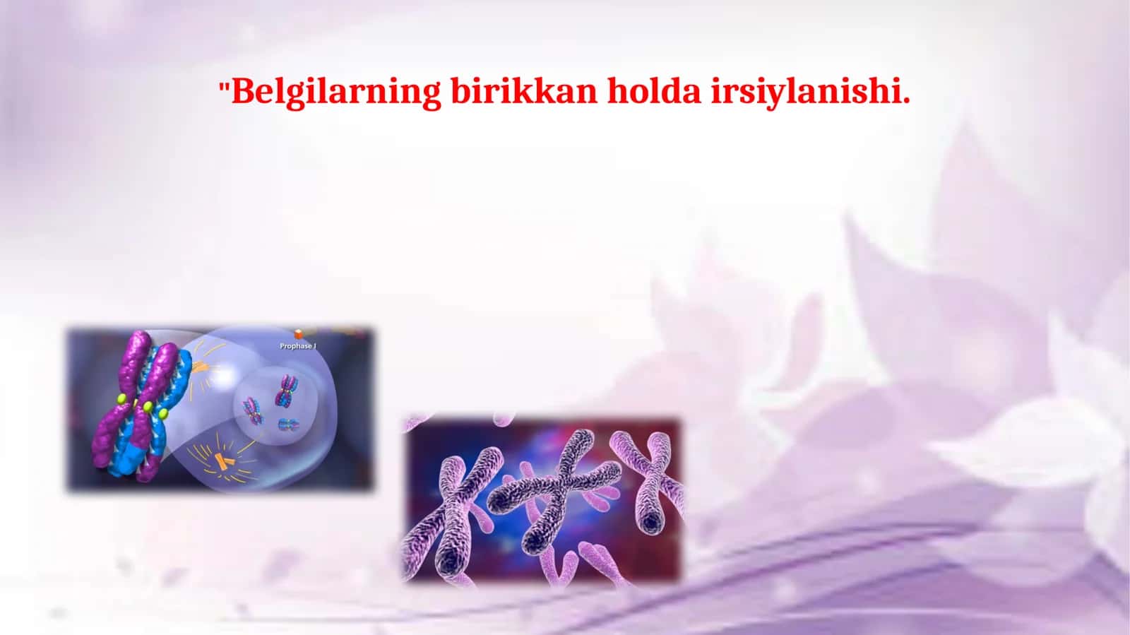 Jinsiy xromosomalar va avlodlar. Belgilarning birikkan holda irsiylanishi 1