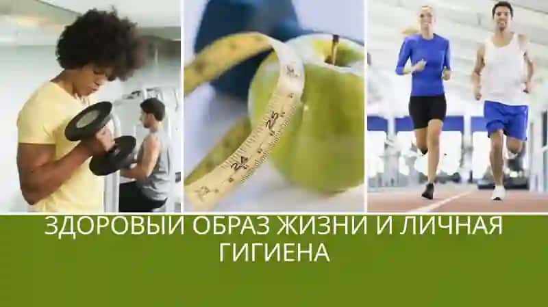 Понятие_об_экологии_История_развития_гигиены