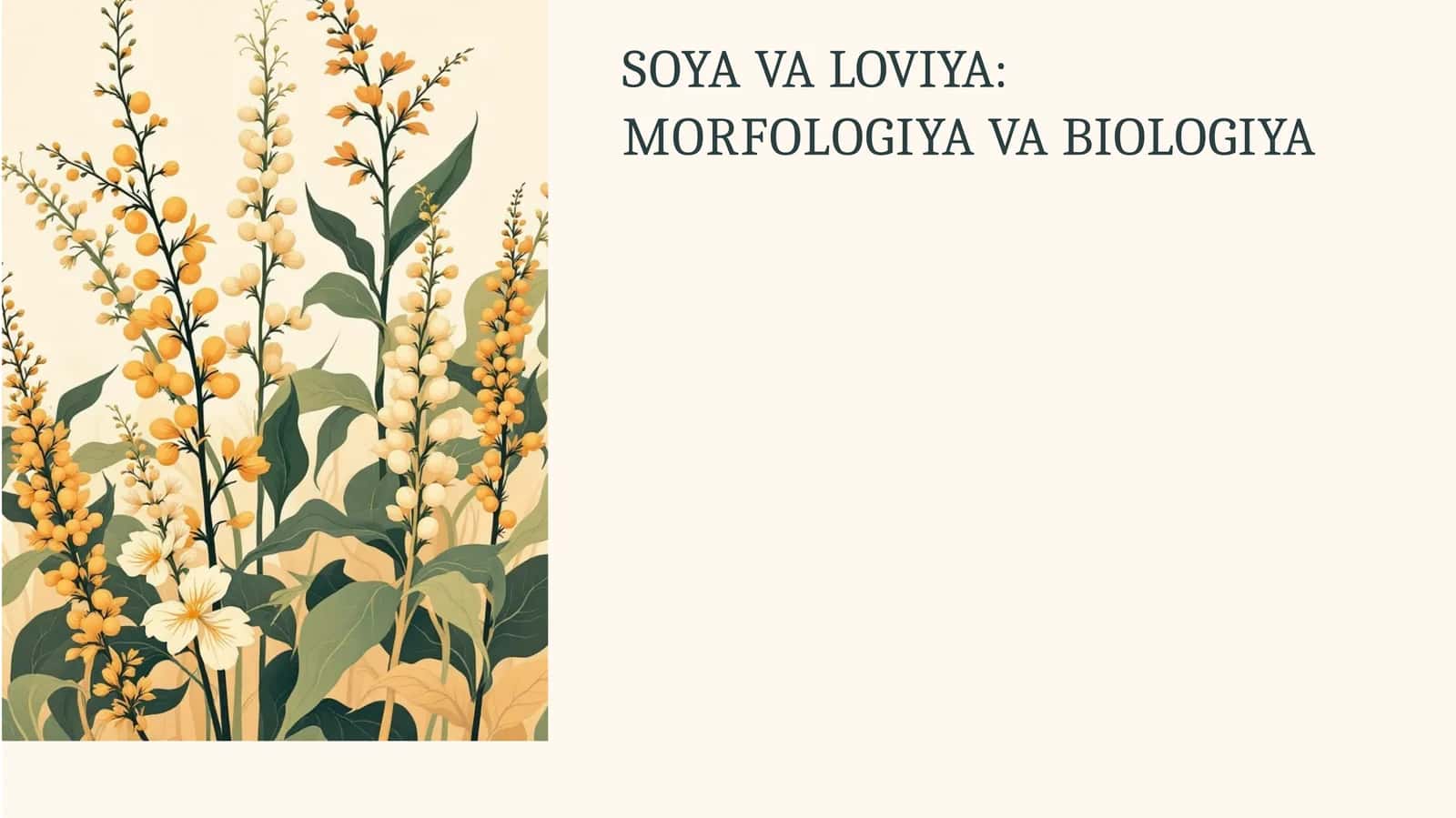 Soya va Loviyaning Asosiy Xususiyatlari 1
