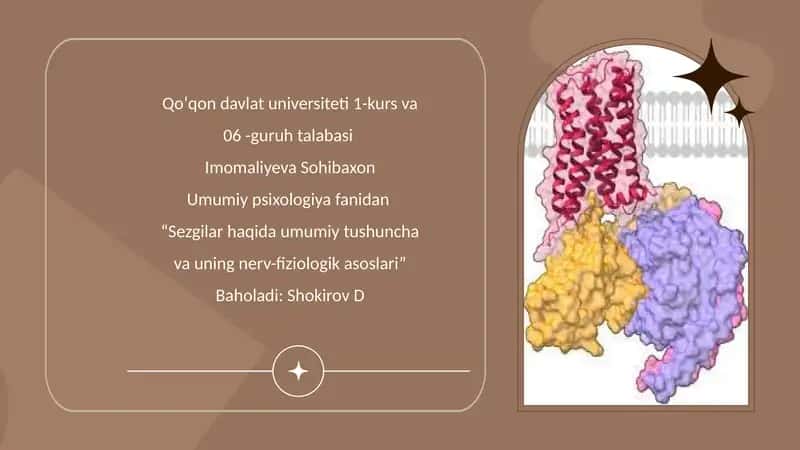 Sezgilar haqida umumiy tushuncha va ularning nerv-fiziologik asoslari 1