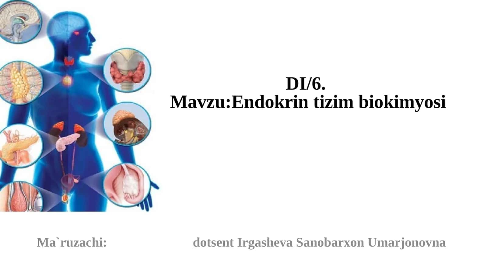 Endokrin tizim biokimyosi 1