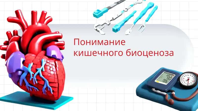 понимание кишечного биоценоза 1