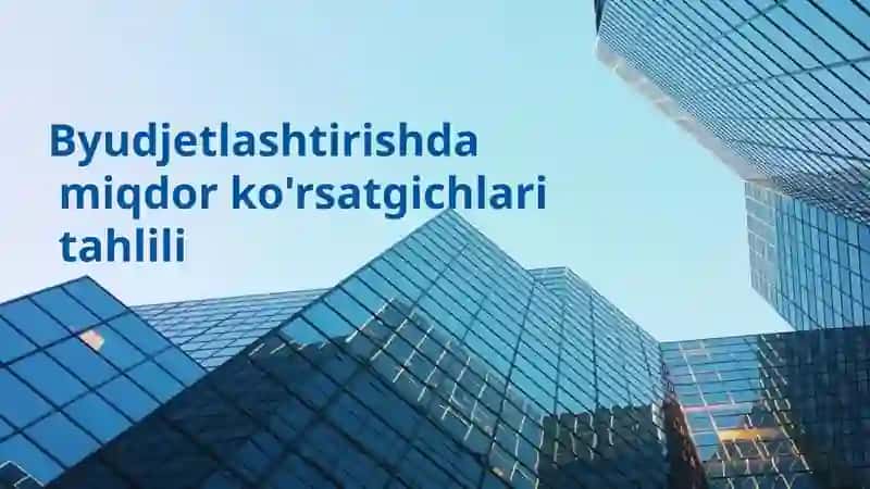Byudjetlashtirishda miqdor ko'rsatgichlari tahlili