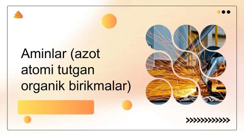 Aminlar 1