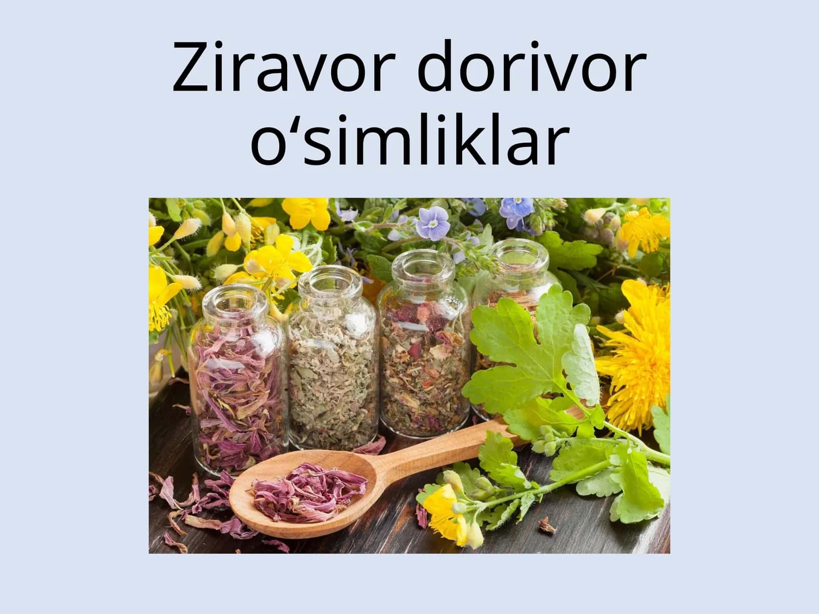 Ziravor dorivor о‘simliklar 1