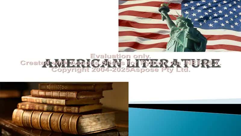 American literature 1