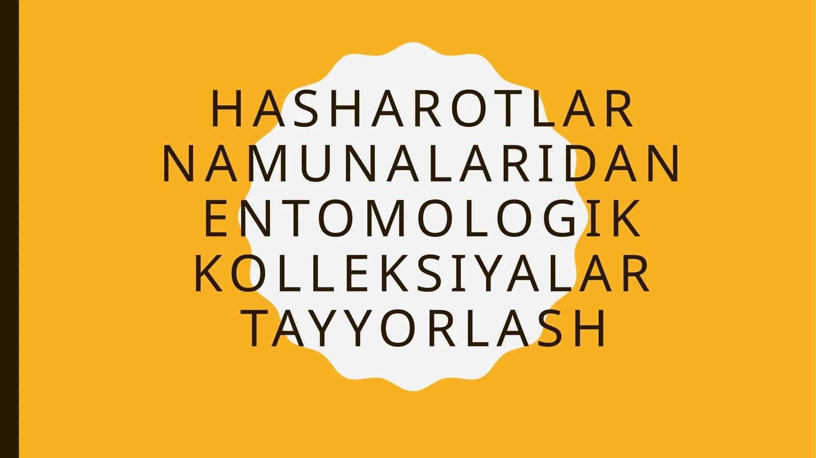 Hasharotlar namunalaridan entomologik kolleksiyalar tayyorlash 1