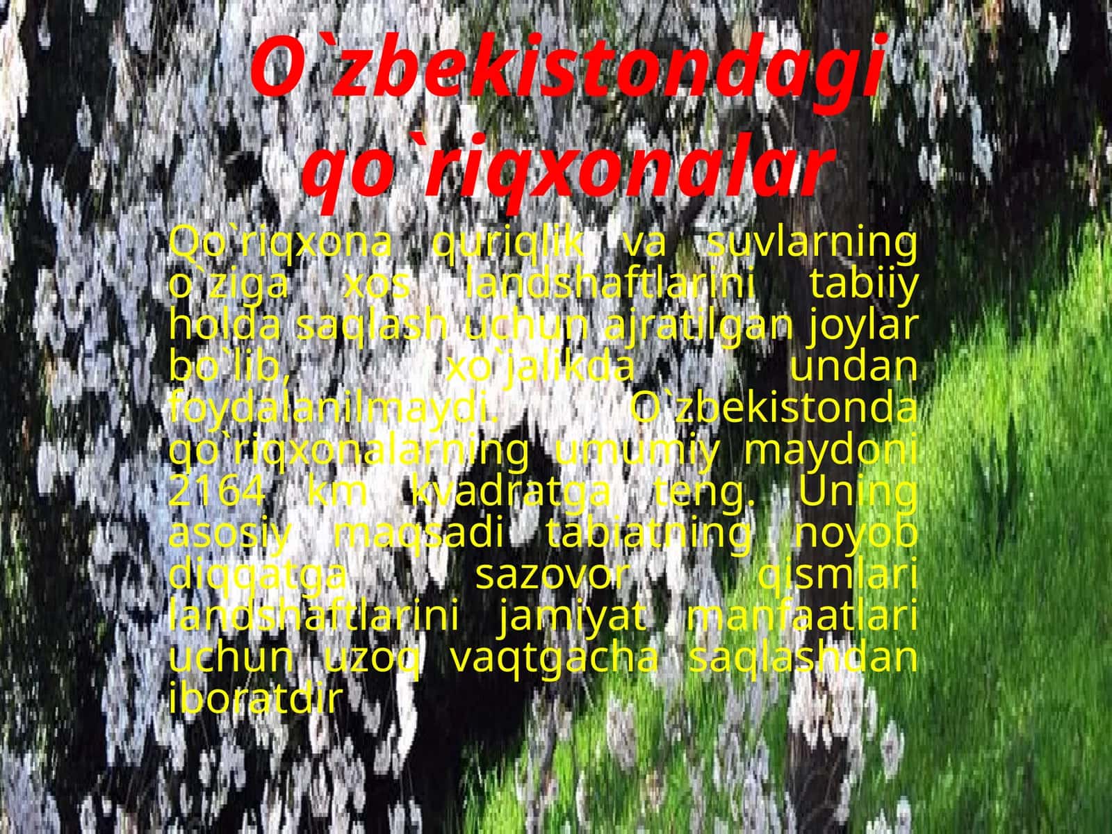 O`zbekistondagi qo`riqxonalar 1
