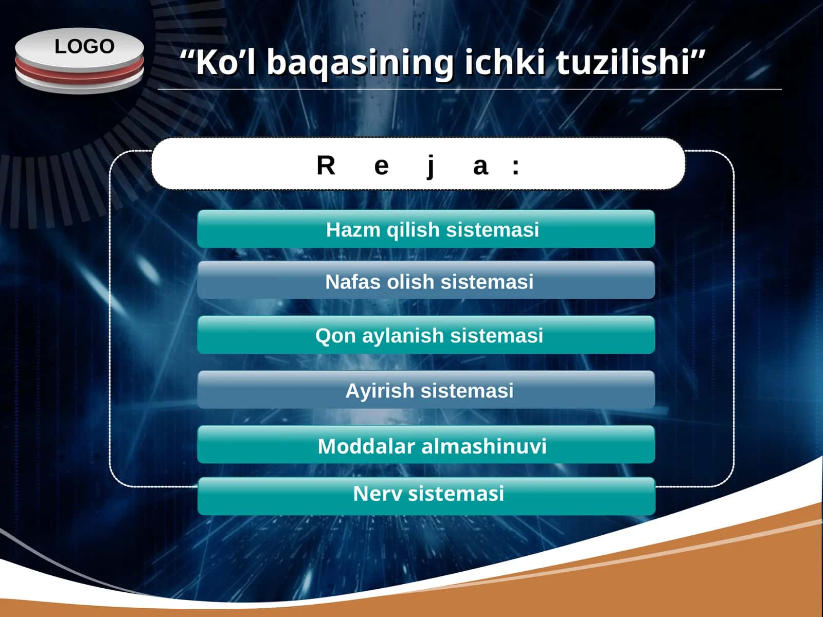Ko’l baqasining ichki tuzilishi 1