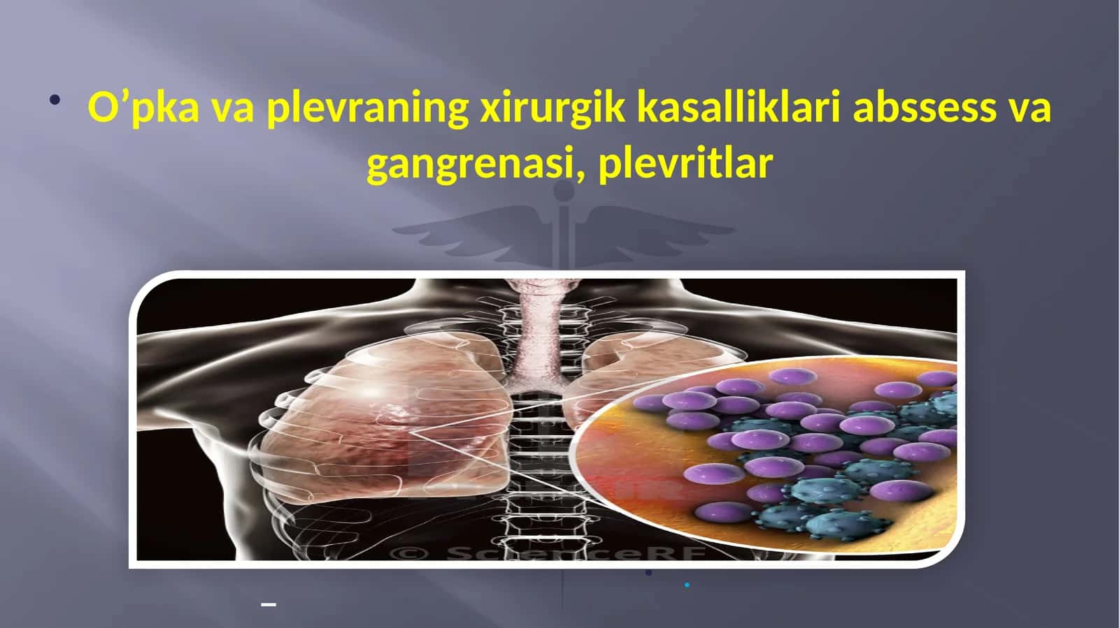 O’pka va plevraning xirurgik kasalliklari abssess va gangrenasi, plevritlar 1