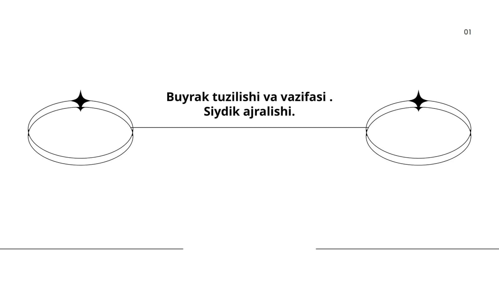 Buyrak tuzilishi va vazifasi 1