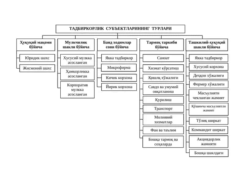 ТАДБИРКОРЛИК СУБЪЕКТЛАРИНИНГ ТУРЛАРИ 1