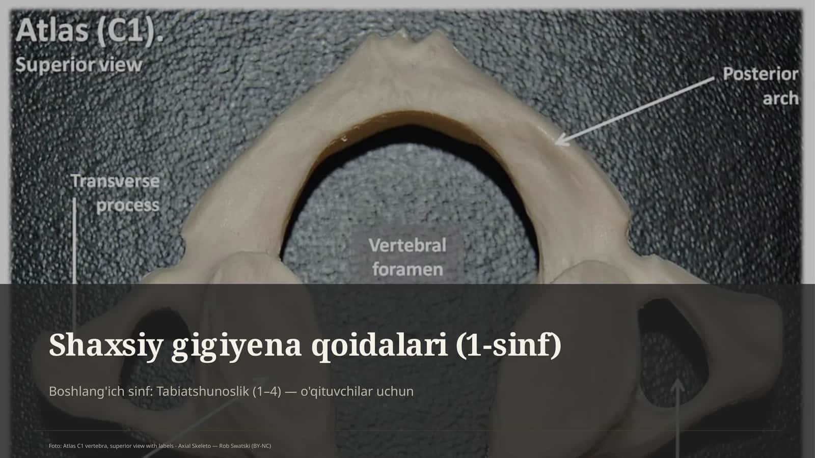 Shaxsiy gigiyena qoidalari (1-sinf) 1