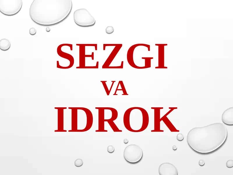 SEZGI VA IDROK 1
