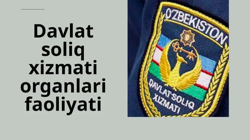 Davlat soliq xizmat iorganlari faoliyati 1