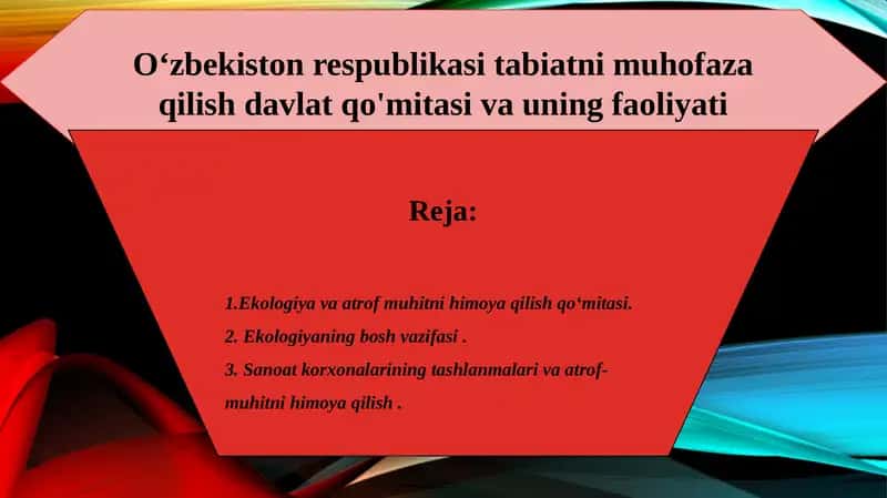 O‘zbekiston respublikasi tabiatni muhofaza qilish davlat qo'mitasi va uning faoliyati 1