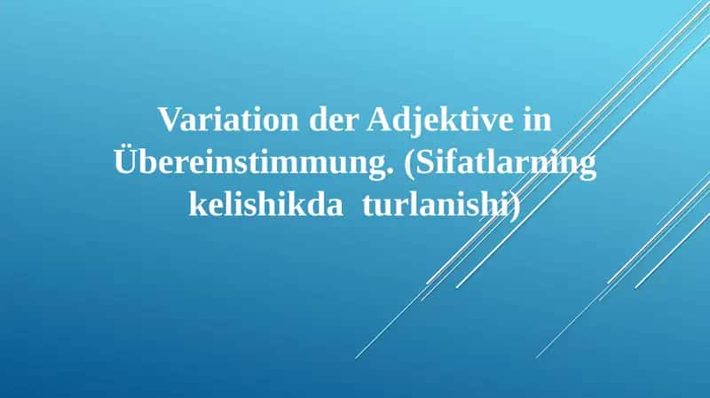 Adjektivdeklination 1