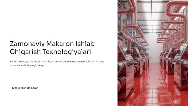 Zamonaviy Makaron Ishlab Chiqarish Texnologiyalari 1