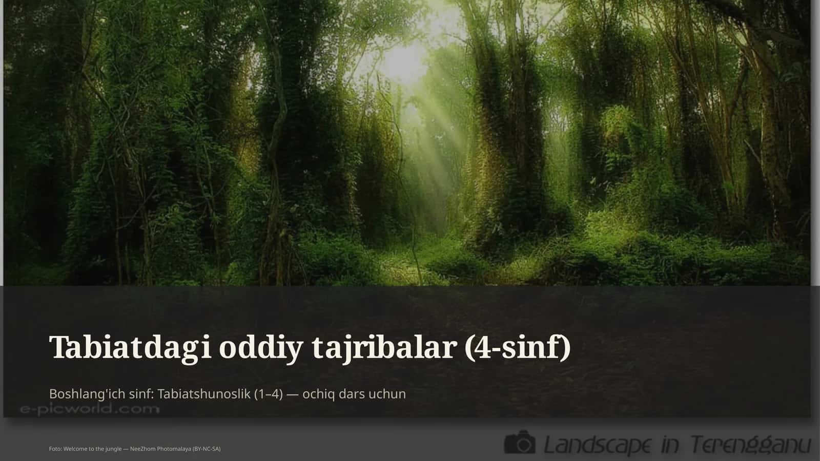 Tabiatdagi oddiy tajribalar (4-sinf) 1