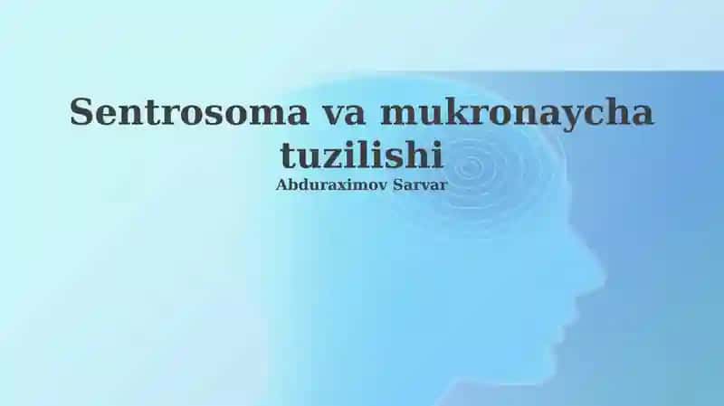 Sentrosoma va mukronaycha tuzilishi 1