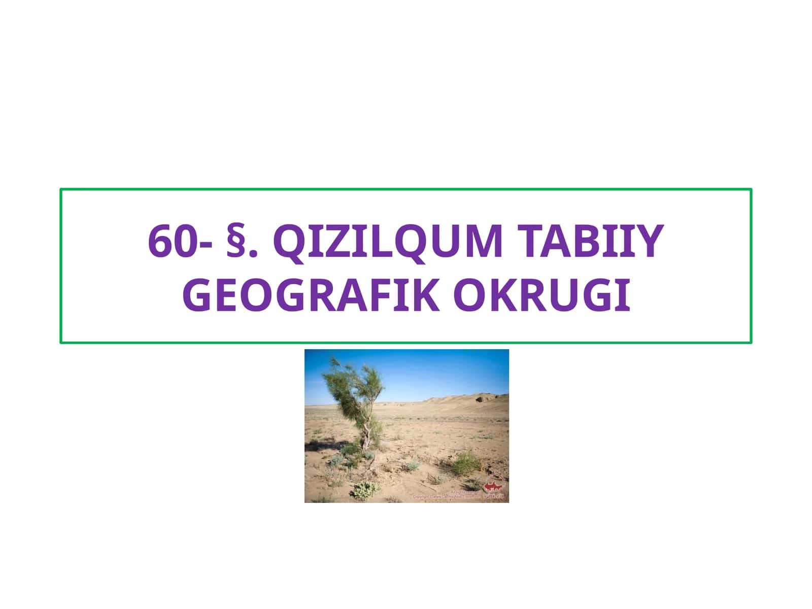 QIZILQUM TABIIY GEOGRAFIK OKRUGI 1