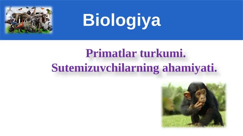 Primatlarturkumi.Sutemizuvchilarningahamiyati 1