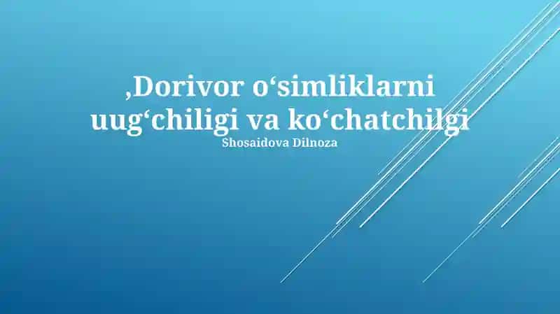 Dorivor oʻsimliklarni uugʻchiligi va koʻchatchilgi