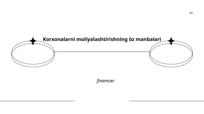 Korxonalarni moliyalashtirishning òz manbalari 1
