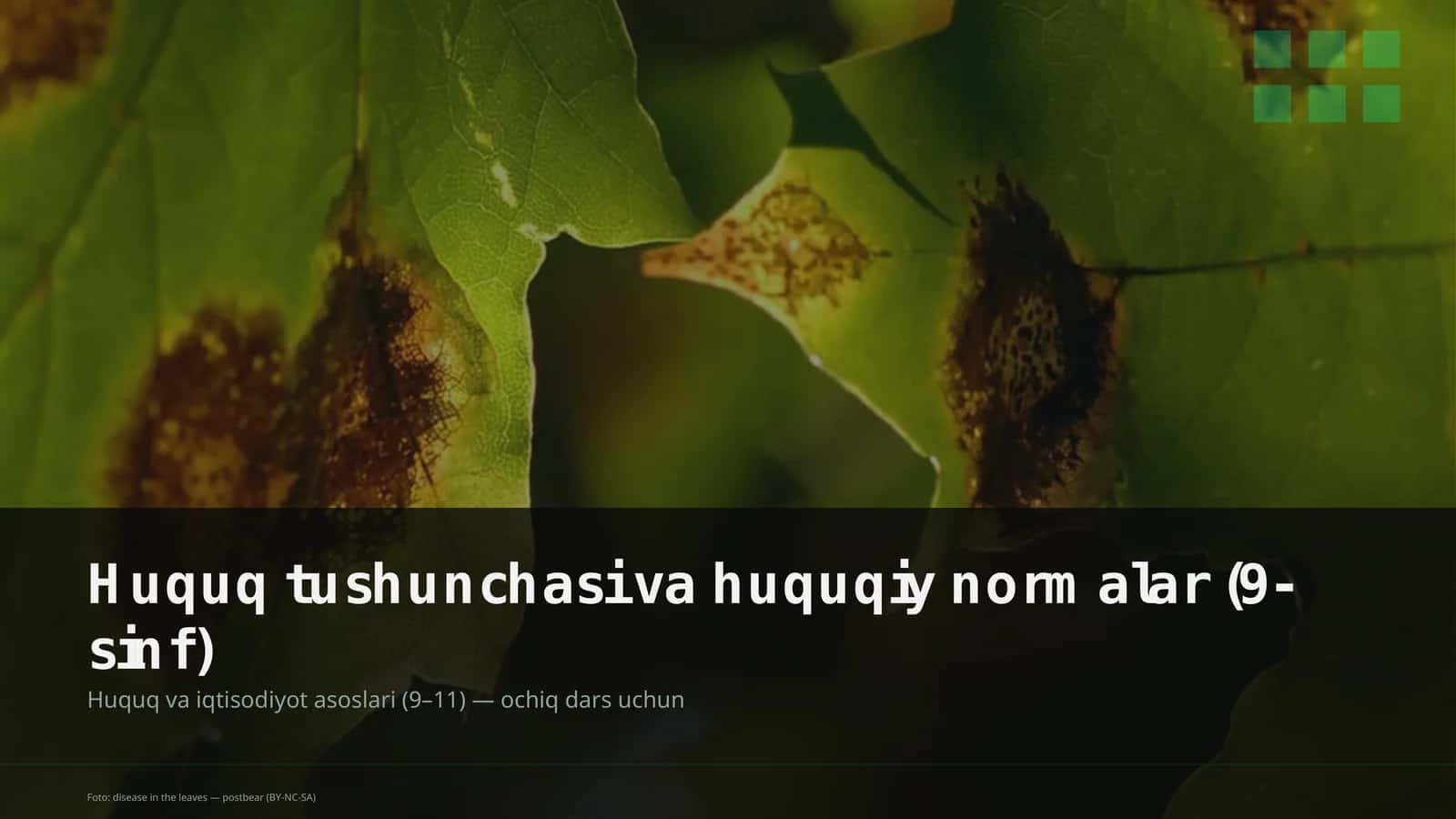 Huquq tushunchasi va huquqiy normalar (9-sinf) 1