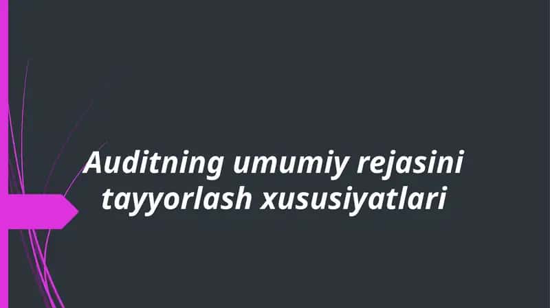 Auditning umumiy rejasini tayyorlash xususiyatlari 1