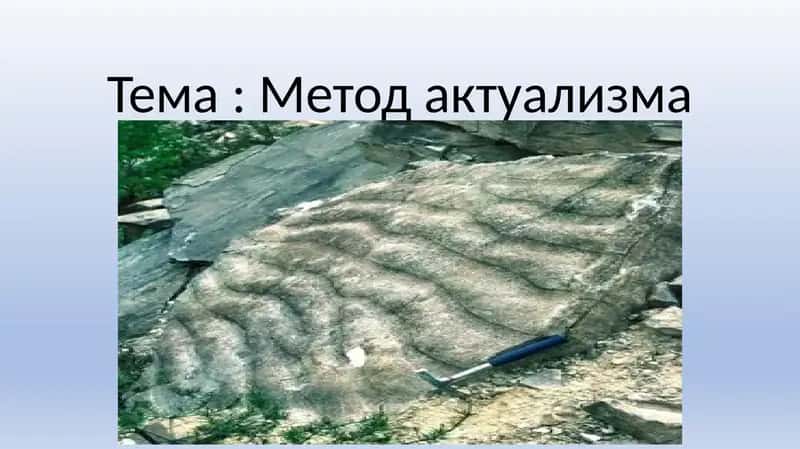 Метод актуализма 1