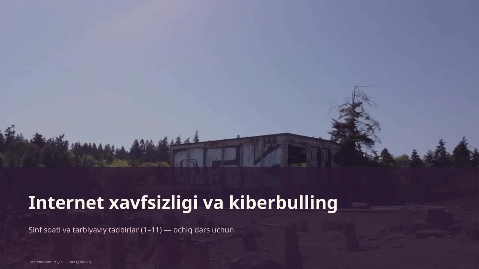 Internet xavfsizligi va kiberbulling 1