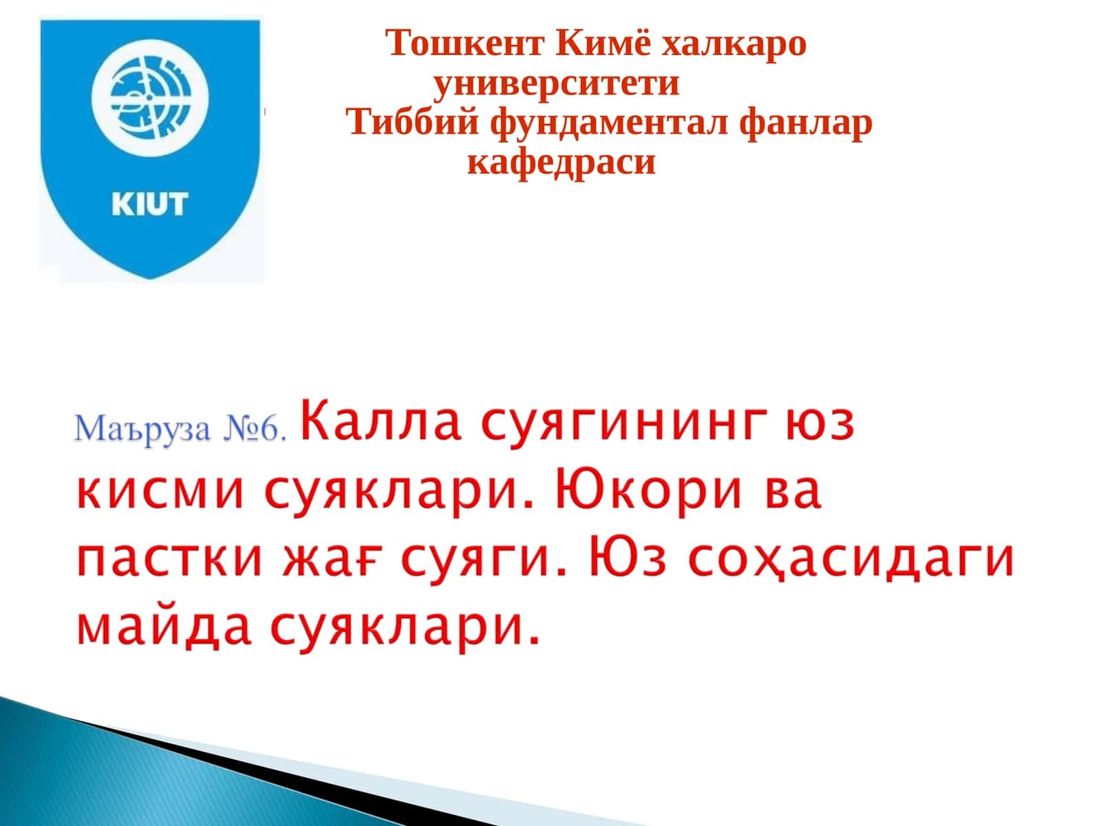 Калла суяги (cranium) 1