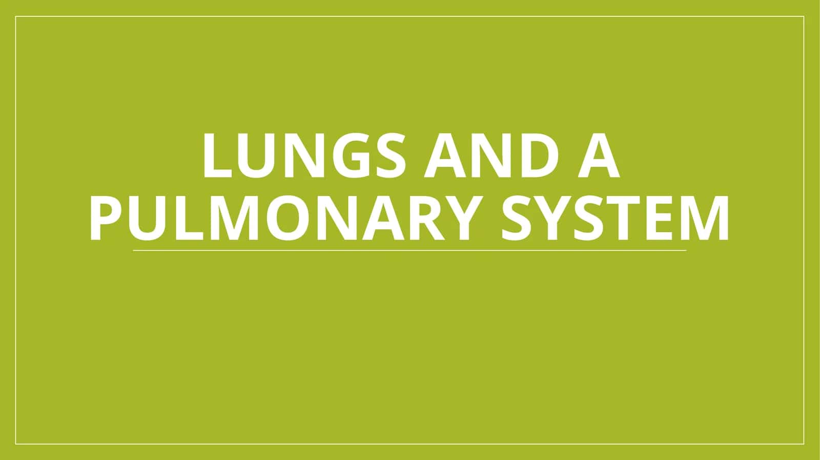 Lungs and a pulmonary system 1
