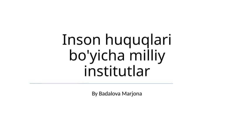Inson huquqlari bo'yicha milliy institutlar 1