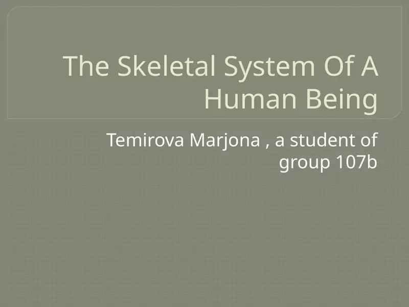 The Skeletal System of A Human Being 1