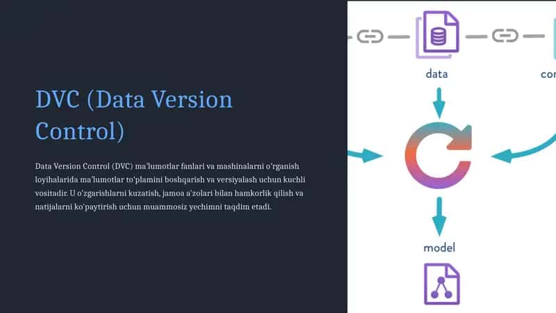DVC (Data Version Control) 1