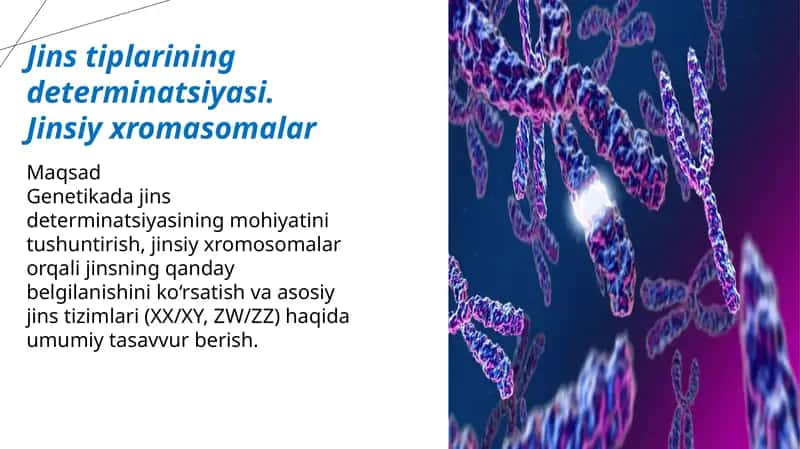 Jins tiplarining determinatsiyasi 1