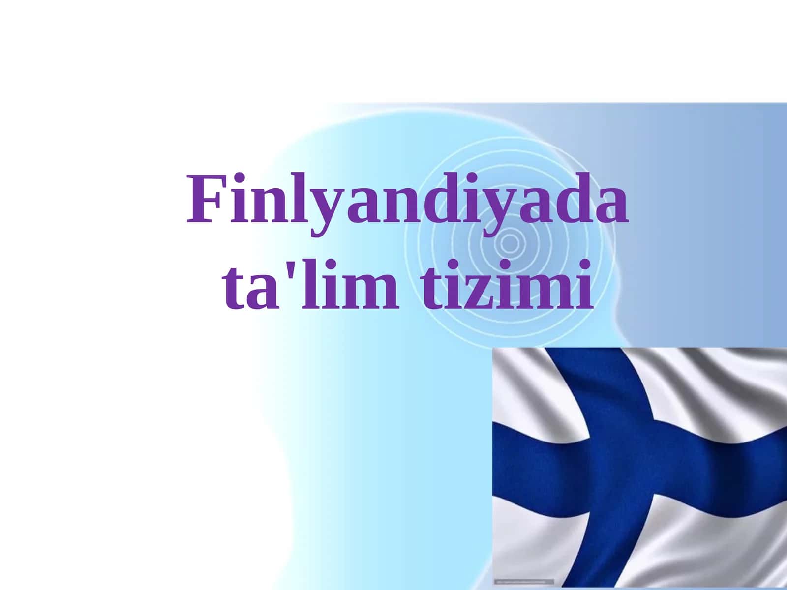 Finlyandiyada ta'lim tizimi 1