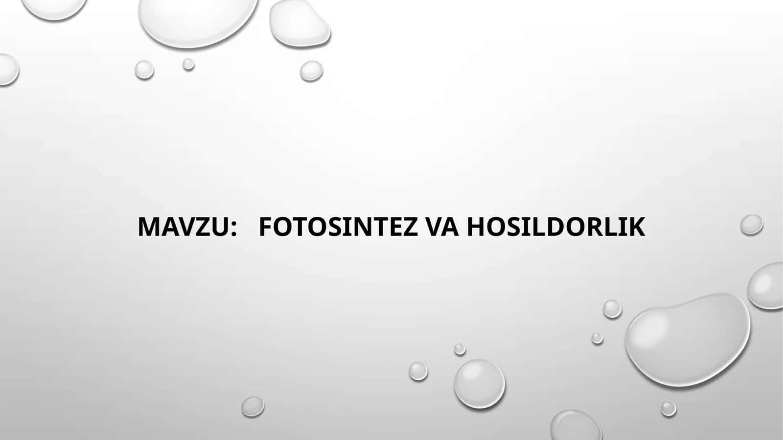 Fotosintez  va  hosildorlik 1