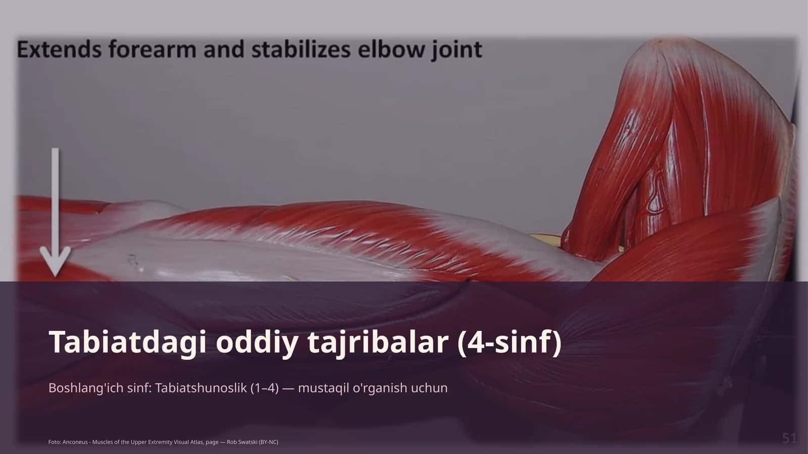 Tabiatdagi oddiy tajribalar (4-sinf) 1