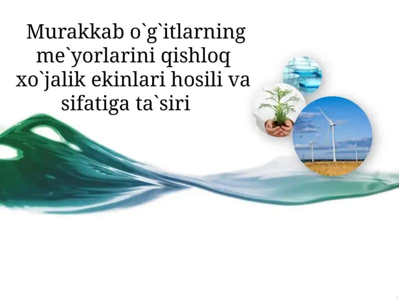 Murakkab o`g`itlarning me`yorlarini qishloq xo`jalik ekinlari hosili va sifatiga ta`siri 1